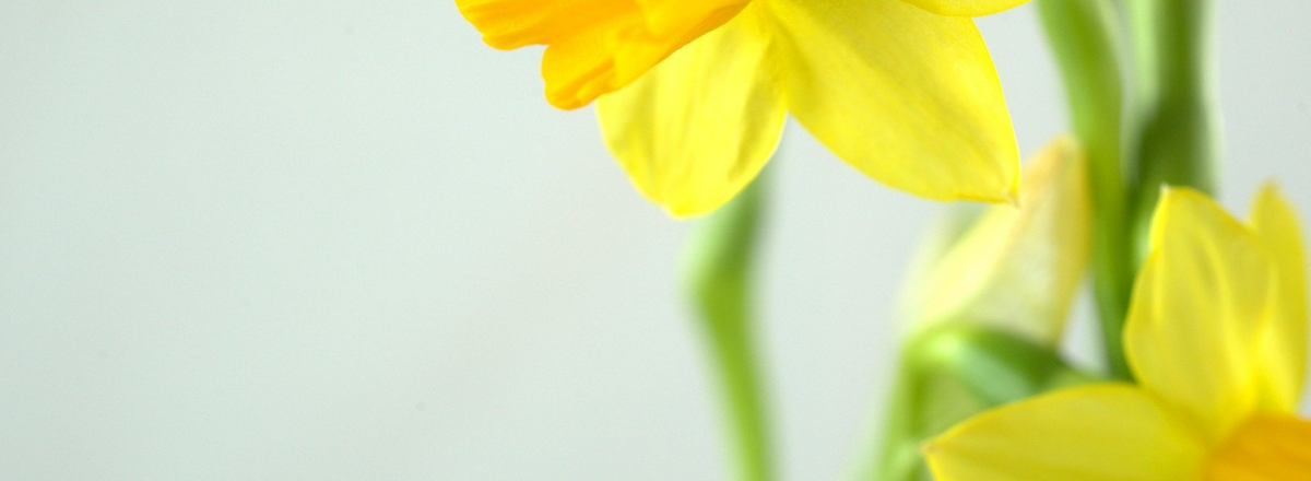 Small Business Online Marketing Tips – The 7 Ultimate Blogging Tips For a Coaching, Training or Consulting Business