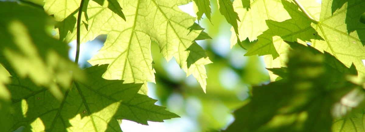 Free Online Marketing Strategies – What To Do If You Don’t Have A Website Yet