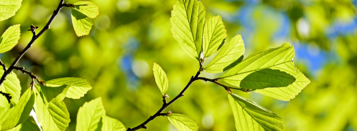 How Long Until You Start Attracting Clients To Your Business – The Glue To Grow Your Business