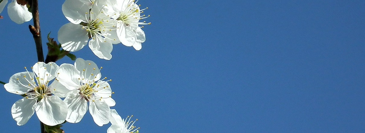 How To Grow My Business With Irresistible Invitations (TM)