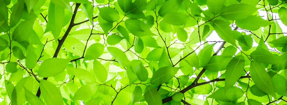 How do I start a website irresistible to my best clients? The road map