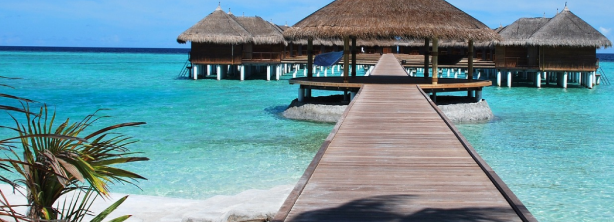 Growing Your Expert Business Online – The Ultimate Guide For Modern Experts With A Mission & A Message