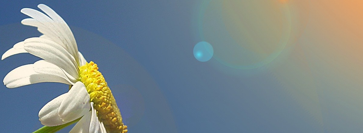 Getting New Clients Online – 8 Tricky Truths