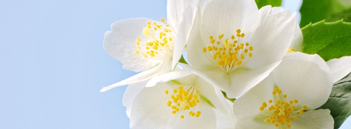 5 Fresh Online Shifts For A Consulting – Coaching – Service Professional Business