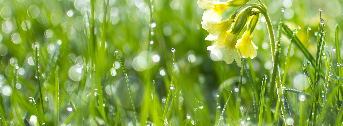 How You Can Start Getting High-Value Clients Today