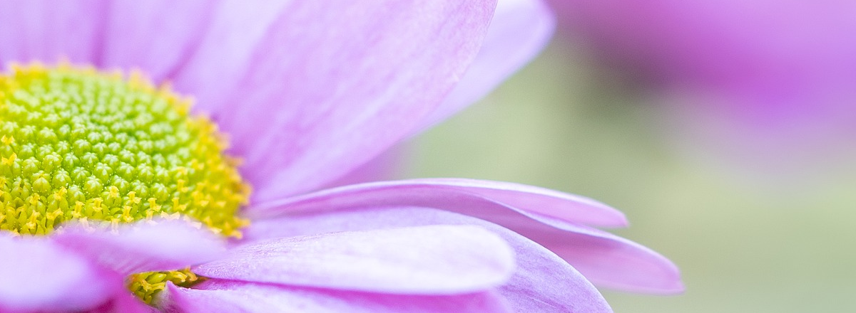 The 30-Minute Free Gift Formula – How To Create A Freebie That Attracts Your Ideal Client Online