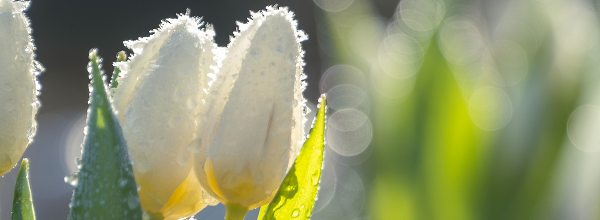 3 Hush-Hush Tips To Create Clients Online