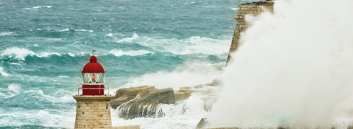 3 Things I Wish I Had Done Way Sooner To Grow My Business