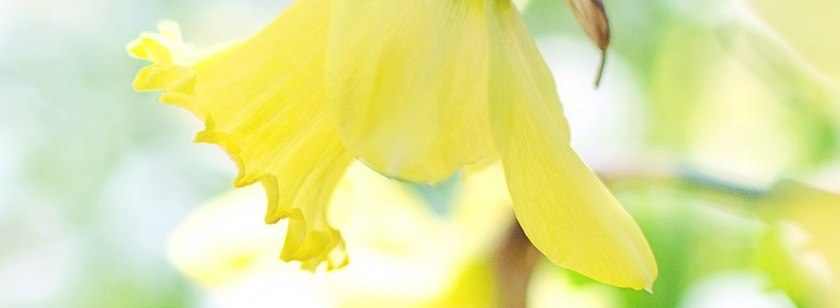 Is Your Website Leaking Clients?