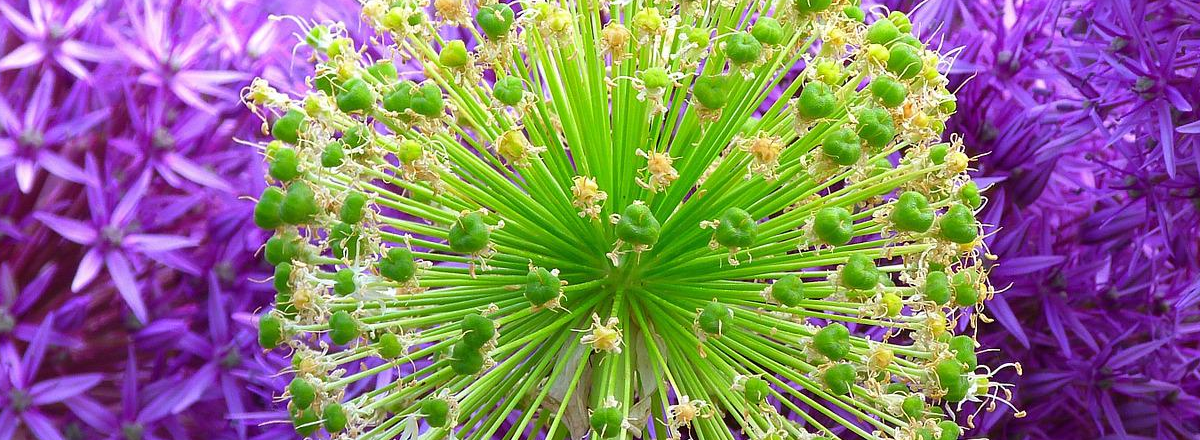 What’s The Best Positioning For Expert Brands?