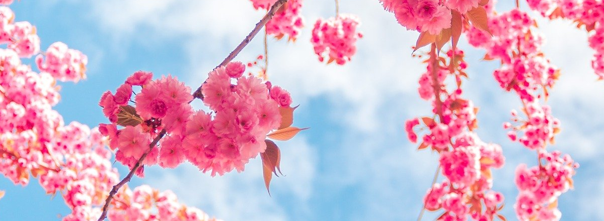 Where To Put Your Message In Front Of The Right People On Social (Old Loves And A New Flame)