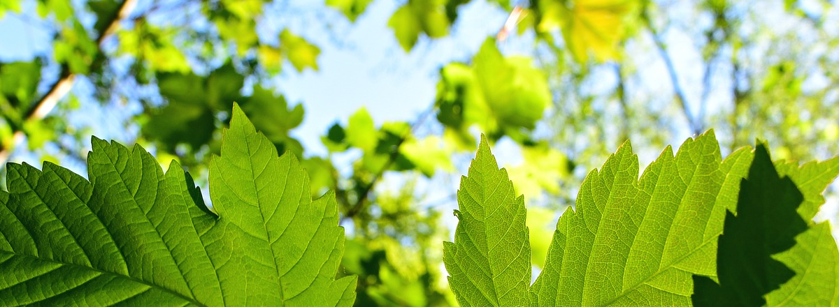 Writing A Business Building Book – 19 Ways Your Business Can Change By Publishing A Book