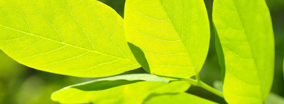 5 Tips On How To Write A Book To Grow Your Business