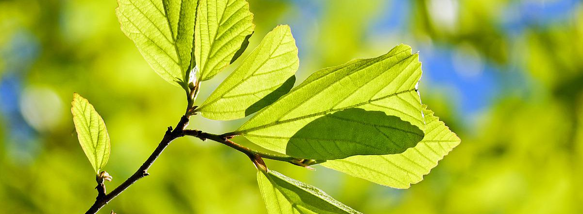 7 Keys To Getting Paid Premium Coaching/Consulting Fees