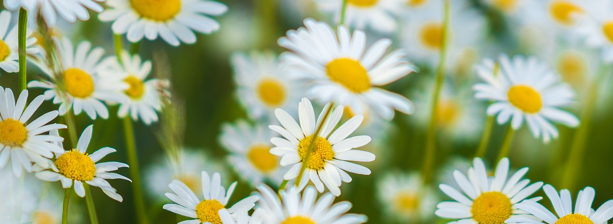 9 Out-Of-The-Box Profit Boosts From Your Online Course™