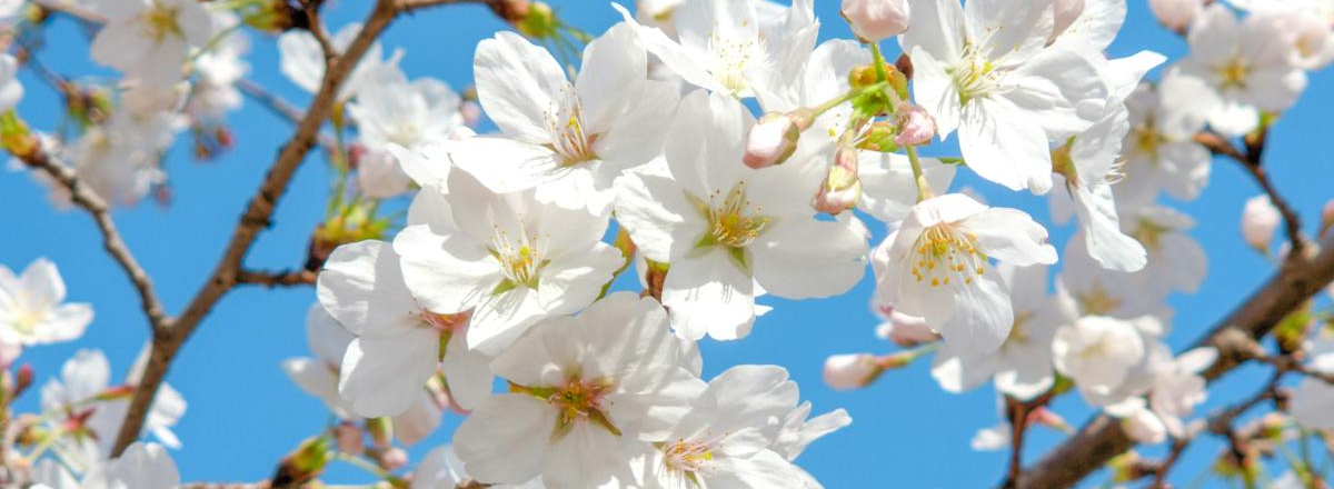 A Business Growth Thought Experiment – #3 – Clean Slate