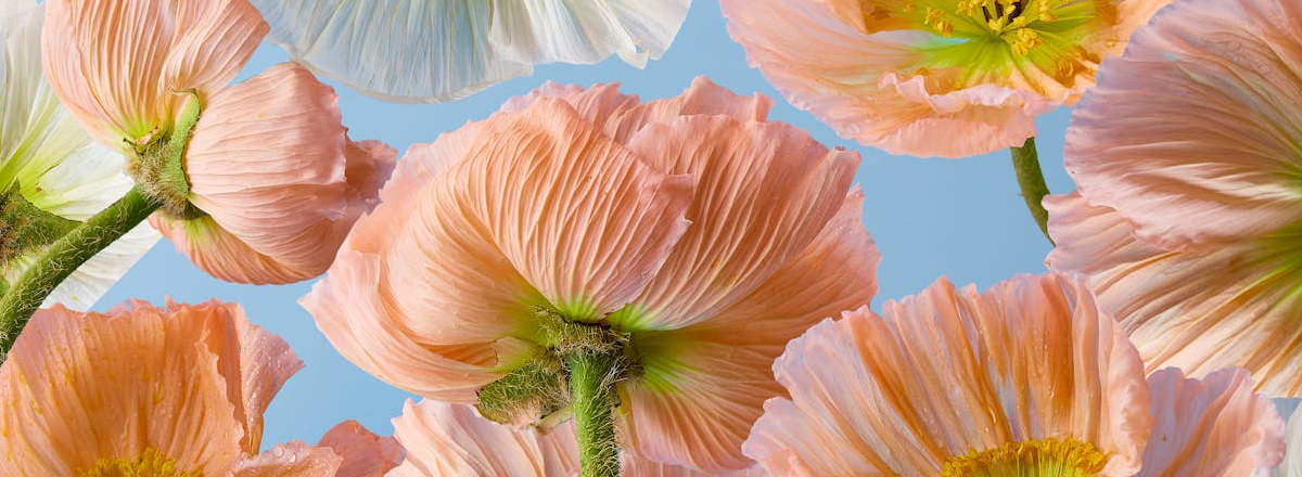 A Business Thought Experiment – # 2 – Create, Don’t Compete