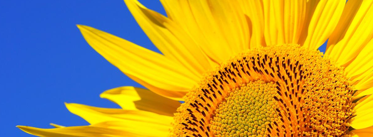 A Profitable Strategy To Bring Your Work Online Today