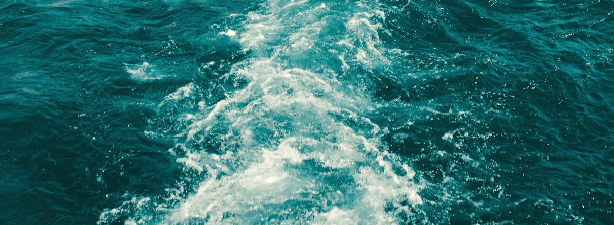 Accelerate Your Business (and wealth) Growth – A Book You Can’t Miss (For Too Many Good Reasons)