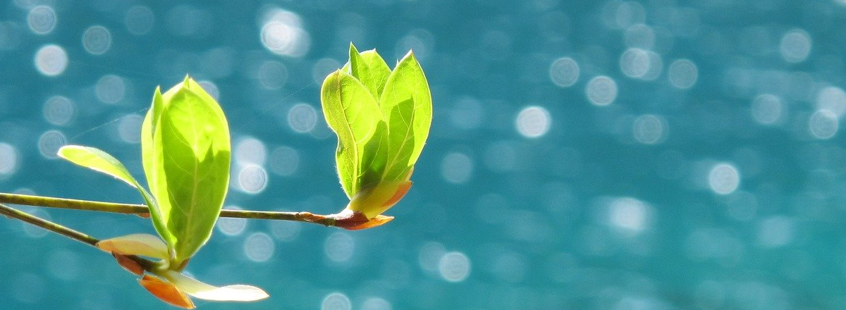 5 Questions To Make Your Content Irresistible To Your Ideal Audience