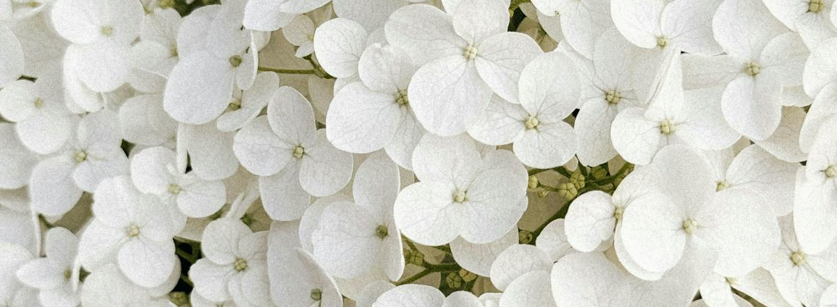 How To Make Your Coaching/Consulting Business Work – Simple Strategies for Growth