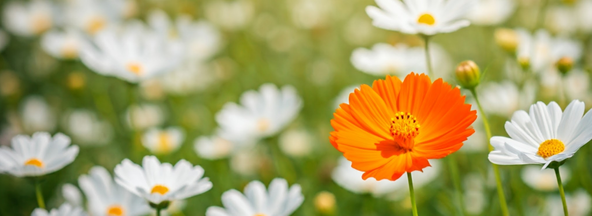 How to Answer the ‘Why You?’ Question in Your About Page