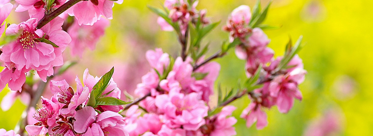 Is Online Really Overcrowded? And How To Stand Out Anyway