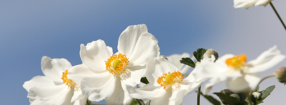 [Case Study] Selling By Delighting