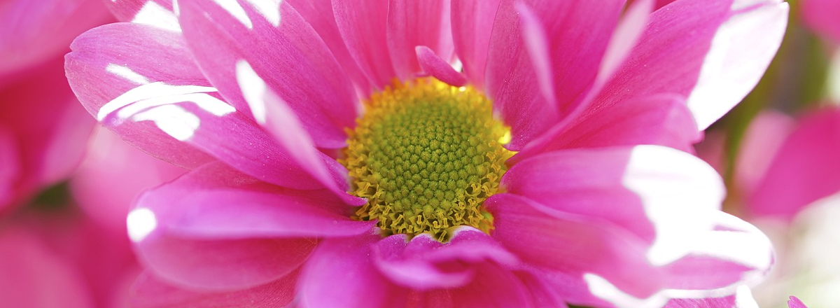 The One Neglected Page That Can Instantly Get You Clients Online