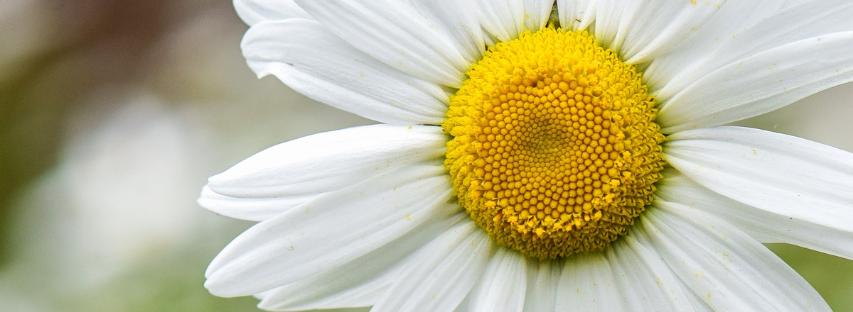 The One Thing You Can Plan Today To Have A Profitable Book That Grows Your Business