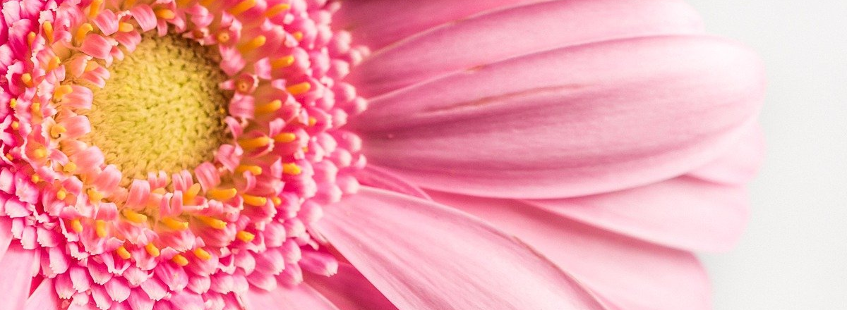 The Simplest Way To Boost Your Business Online Today