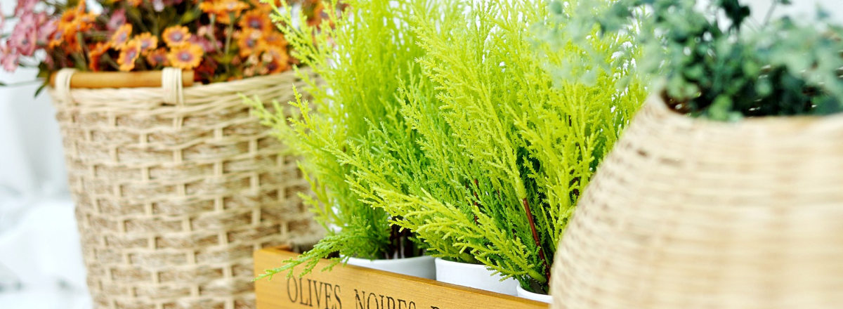 The Special Ingredient – How To Make Offers & Programs Like Marie Kondo