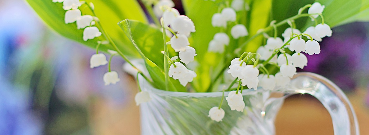 What Tools Do I Need To Bring My Work Online Fast?