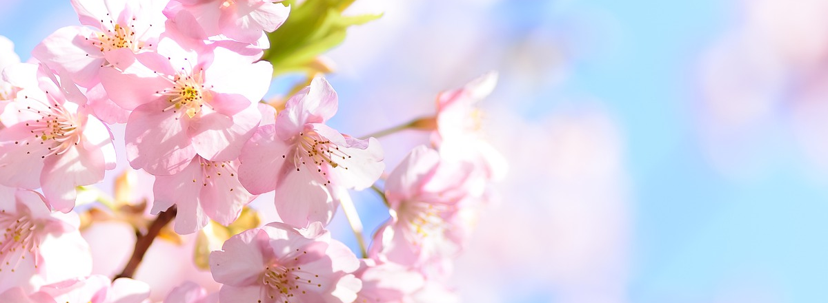 Where To Start Creating A Book That Brings You High-value Clients