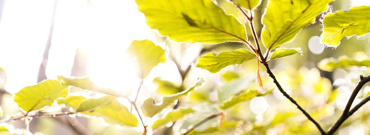 Client-Creating Website For Coaches – The Ultimate Checklist