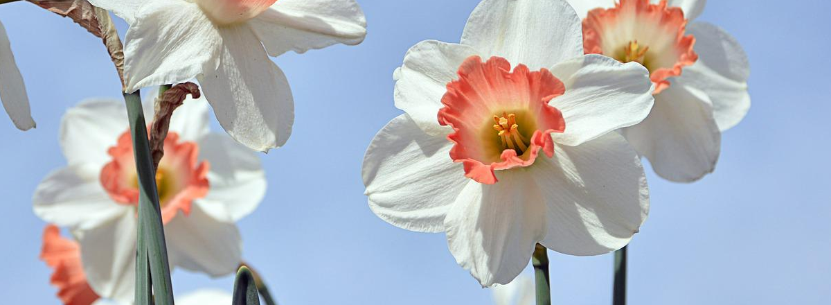 The Profitable Online Course Creation Checklist™